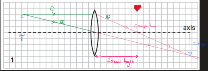 <p>what are the propreties of a this ray diagram</p>