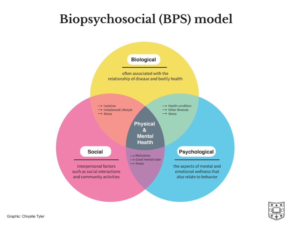 <p>emphasizes the interconnection between biological, psychological and socio-environmental factors.</p>