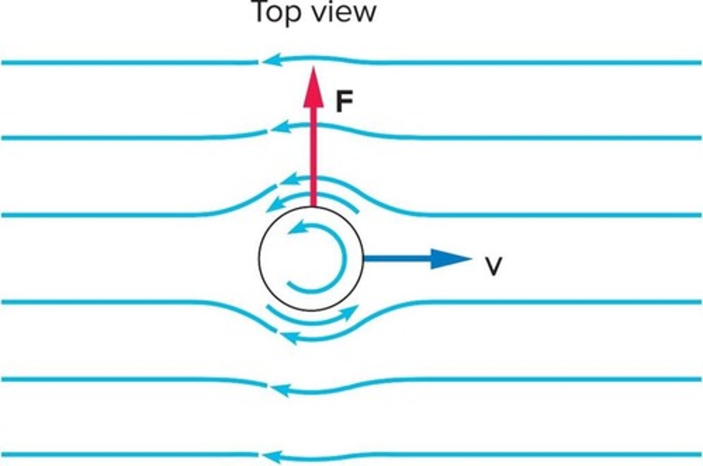<p>The spin of the ball creates a difference in air speed on either side, resulting in a pressure difference that causes the ball to curve.</p>