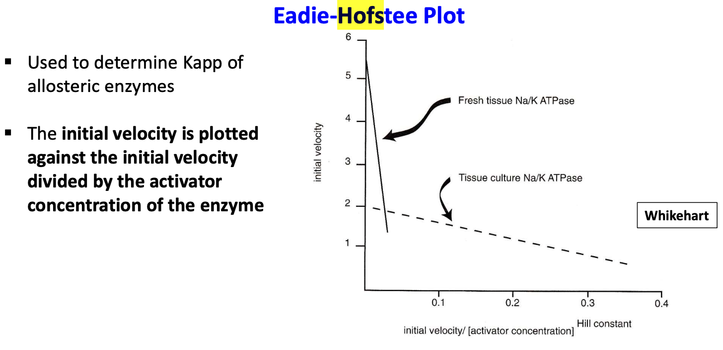 <p>used to determine Kapp of allosteric enzymes. involves plotting the initial velocity against the initial velocity divided by the substrate concentration (S) or activator concentration(A)</p><p>It can be used to determine sodium activation for Na, K-ATPase</p>