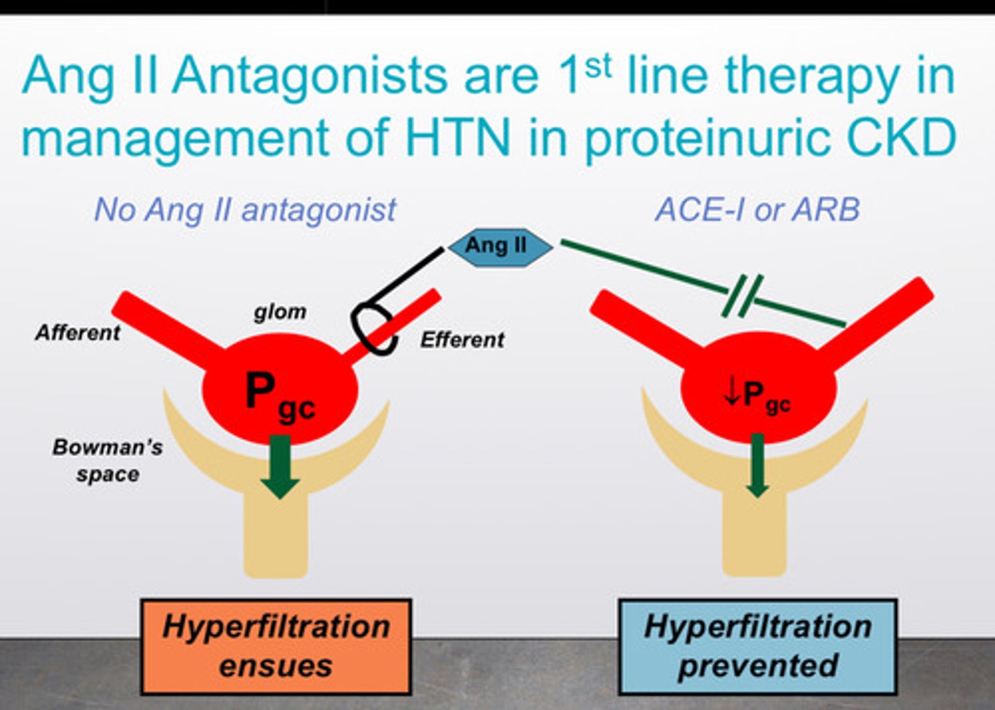 <p>1) ang-II antagonists are first line therapy in management of HTN in proteinuric CKD (ACEI or ARBs can help prevent hyperfiltration)</p><p>2) SGLT2 inhibitors are also helpful in slowing the progression of proteinuric CKD to ESKD (end stage kidney disease)</p>