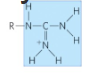 <p>name this functional group</p>