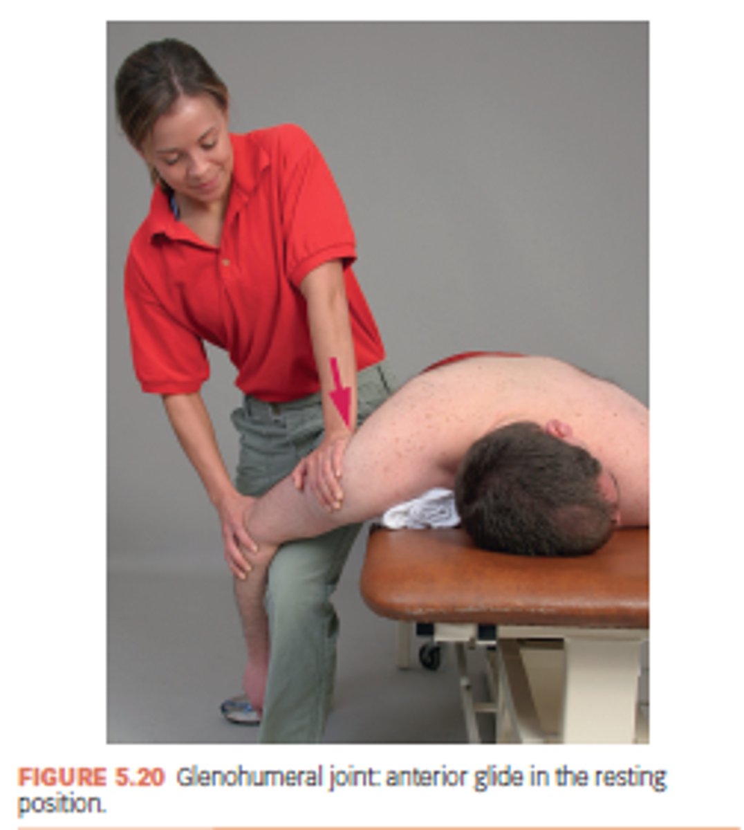 <p>to increase EXTENSION and ER</p>