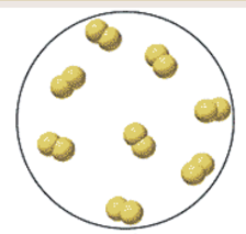 <p><span><span>Is it an element, compound, or mixture? Is it a solid, liquid, or gas?</span></span></p>