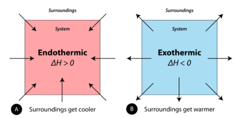 <p><u>Positive vs. Negative</u></p><p>Endothermic reactions have a ___________ <span>ΔH</span><sub><span>rxn</span></sub><span> while exothermic reactions have a ___________ ΔH</span><sub><span>rxn</span></sub></p>