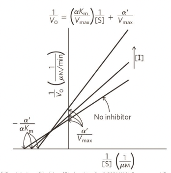 <p>Mixed inhibition plot</p>