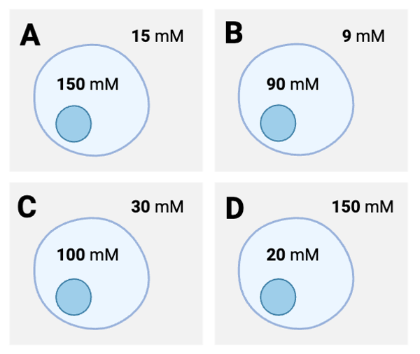 <p><span>According to Fick's equation, which cell would experience the </span><strong>fastest</strong><span> rate of net diffusion of solutes through the membrane?</span></p>