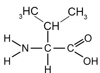 <ul><li><p>Branched side chain</p></li><li><p>Nonpolar, hydrophobic</p></li><li><p><strong>BCAA</strong></p></li><li><p>Protein core</p></li></ul><p></p>