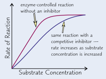 <ul><li><p><strong>High conc </strong>of <strong>inhibitor</strong> → take up <strong>nearly all active sites</strong> → substrate can’t get to enzyme</p></li><li><p><strong>Higher substrate conc</strong>. → substrate’s chances of getting to active site before inhibitor <strong>increase</strong></p><ul><li><p>→ <strong>increasing substrate conc</strong> → <strong>increase RoR</strong> (up to a point)</p></li></ul></li></ul><p></p>