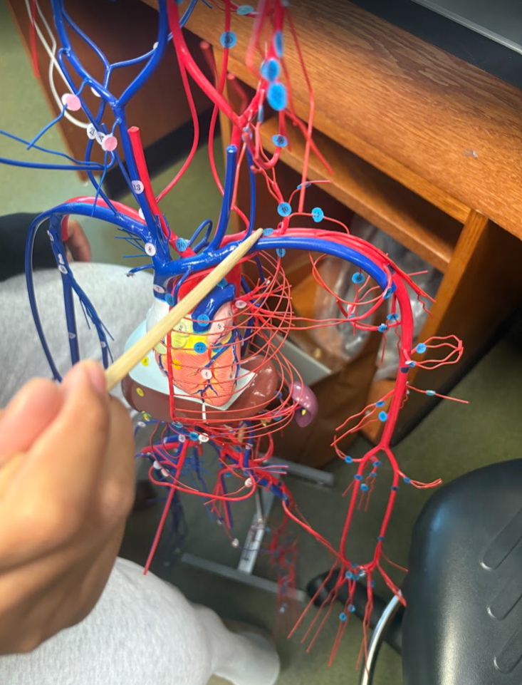 <p>What is this?</p>