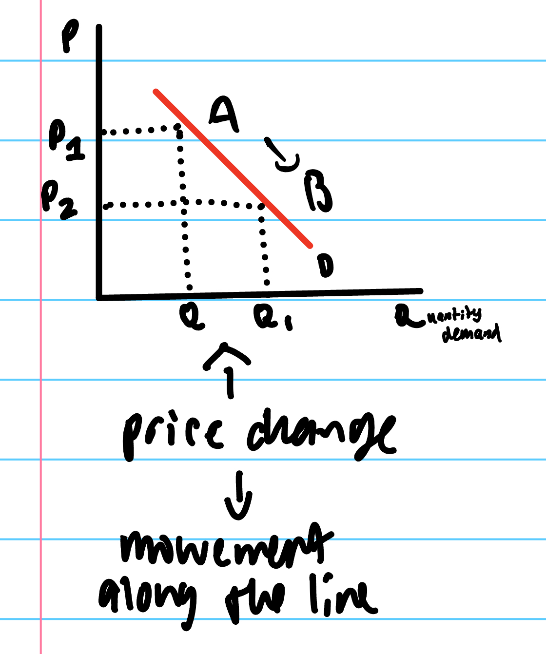 <p>change in price. (movement along the line) </p>