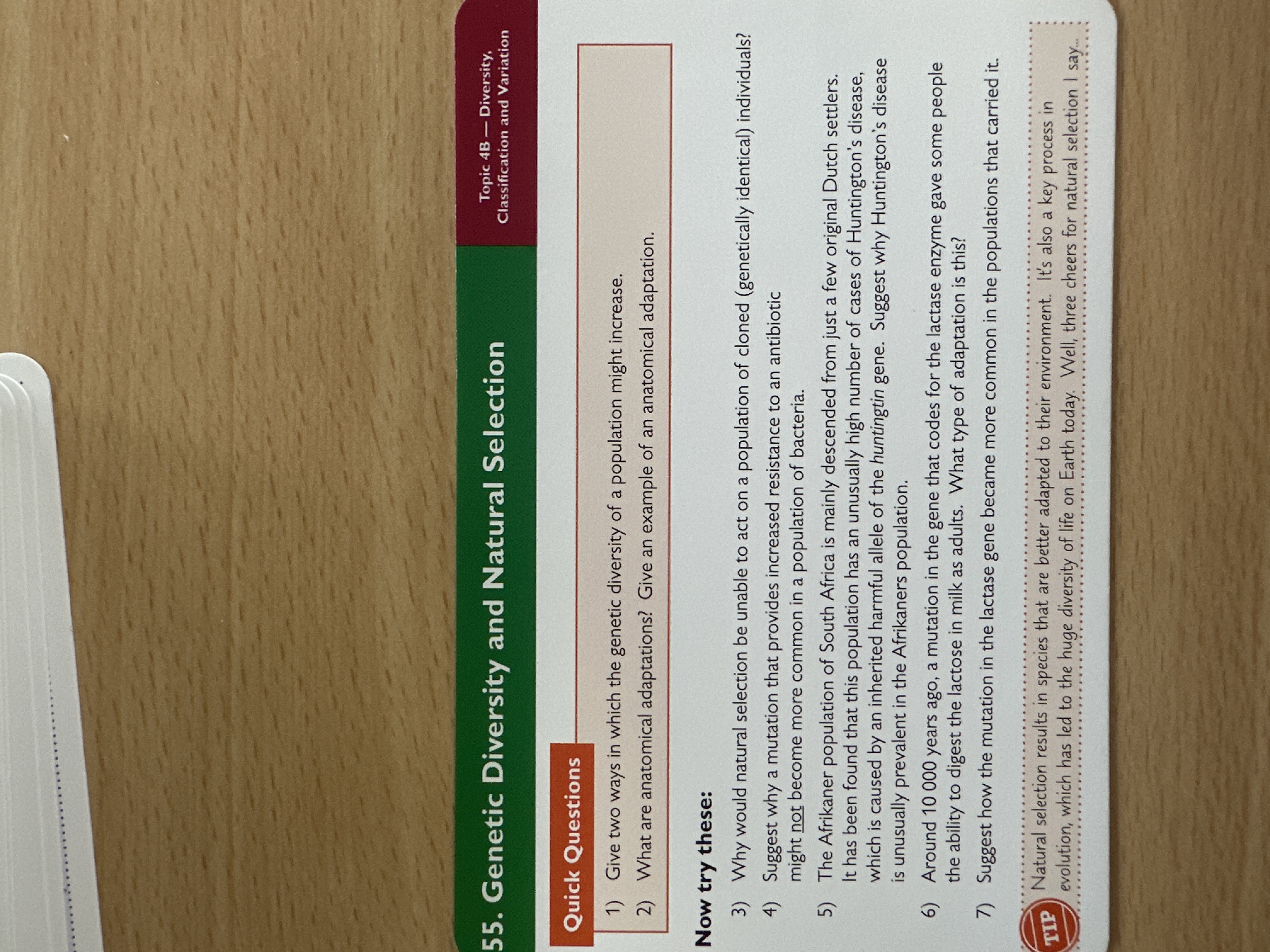 Genetic diversity, natural selection 