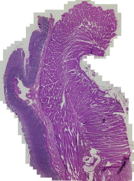 <p>What is this?</p>