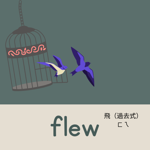 <p>flew</p>