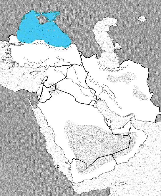<p>Physical</p>