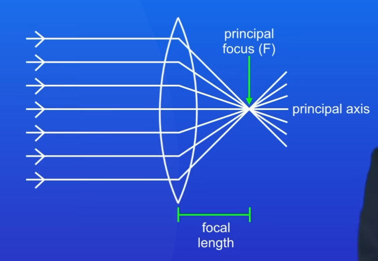 <p>Where rays hitting the lens parallel to the axis meet</p>