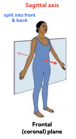 <p>frontal plane</p><p>sagittal axis</p>