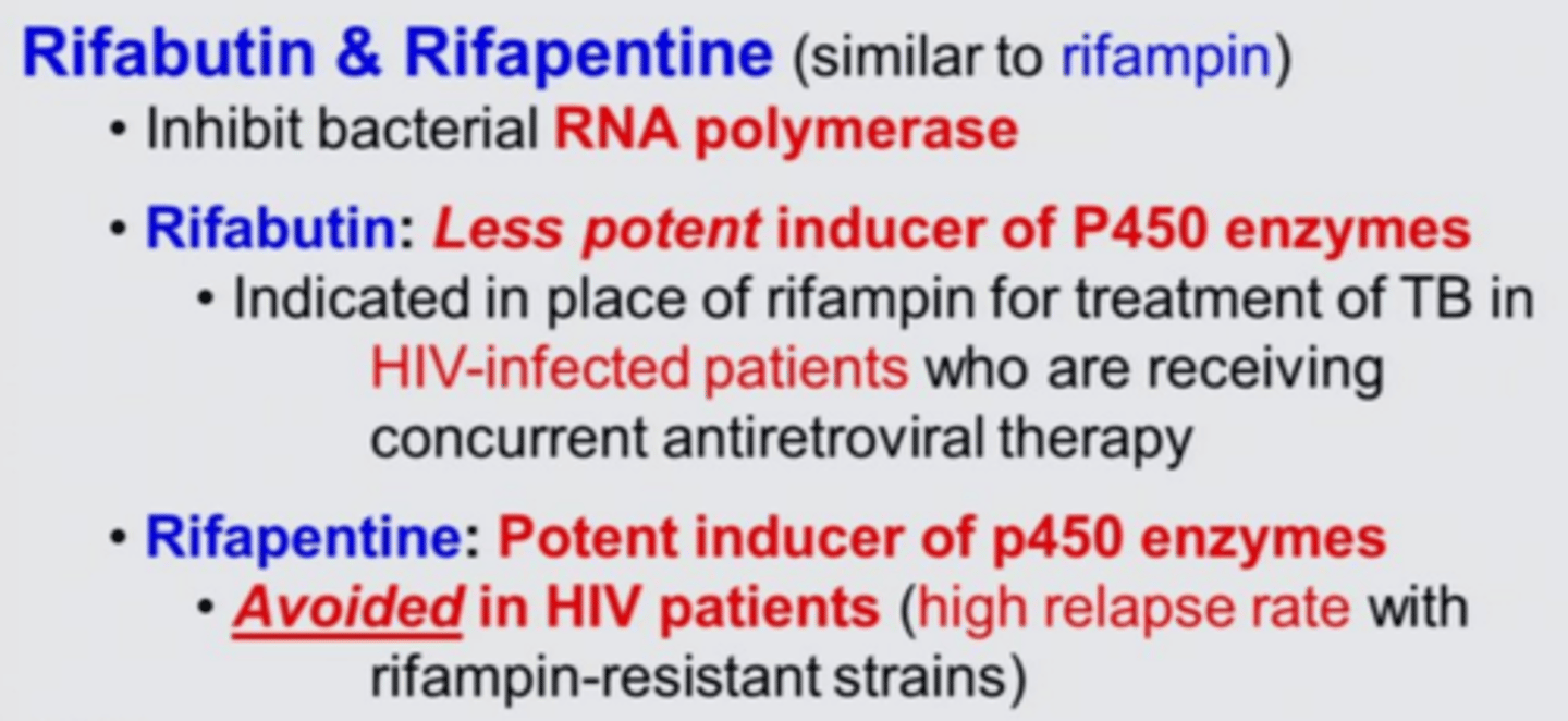 <p>alternatives to rifampin</p><p>rifapentene</p><p>- used to be once weekly, now used daily</p><p>- once weekly for LTBI</p><p>- similar toxicities and DDIs to rifampin</p><p>rifabutin</p><p>- less potent hepatic enzyme inducer</p><p>- good for HIV+ patients</p>