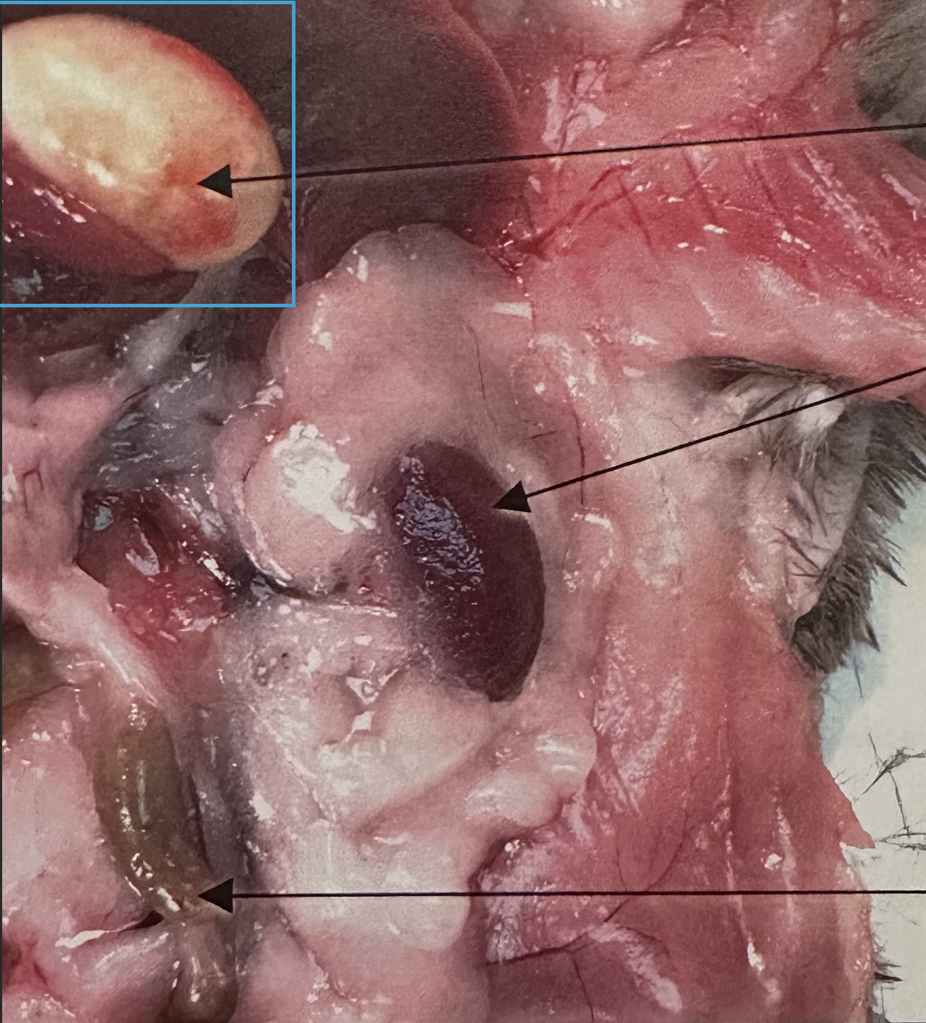 <p>What is this?</p>