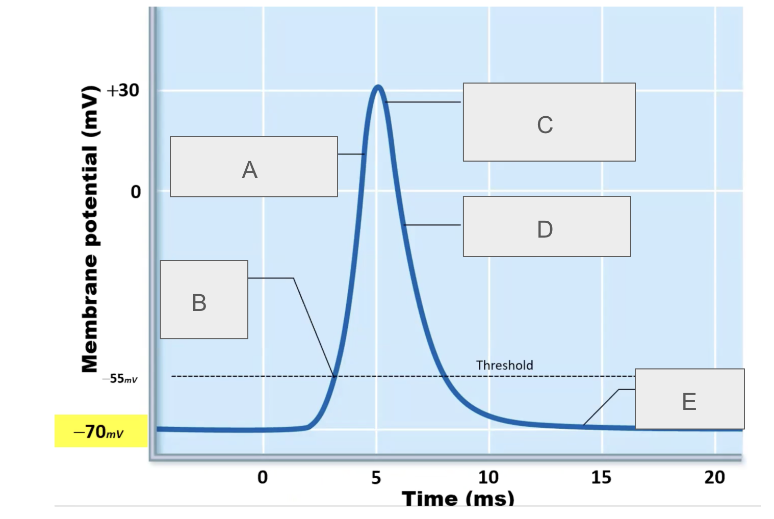 <p>what is happening at A?</p>
