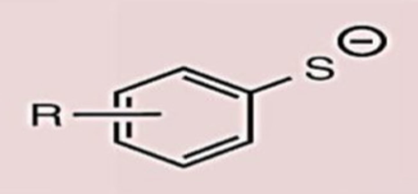 <p>Conj. Base</p>
