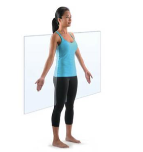 <p>Frontal (coronal plane) </p>