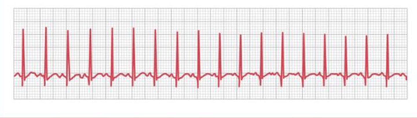 <p>What is shown?</p>