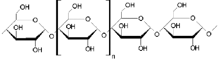 <p>glucose molecules joined by alpha 1-4 glycosidic linkages. can exist as amylose (more linear or amylopectin (more branched)</p>