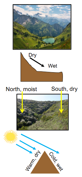 <p><span style="color: rgb(255, 250, 250);">• Moisture-holding capacity of the soil determines availability of water &amp;<br>chemical elements dissolved in soil water<br>What causes variation in the soil moisture-holding capacity?<br>1. Climate- directly influences the physical &amp; chemical reactions in the<br>soil and water availability. What does the soil experience over the long term. Affects physical and chemical reactions, how much nutrients are running off into the soil, how much water is available. <br>2. Type of parent material from which soil develops<br>• Physical &amp; chemical characteristics determine properties of soil (e.g.<br>grain size, acidity, minerals)<br>3. Topography– sloped vs level ground, water draining down to lower elavetions, where does the water table intersect, creates different microclimates too, different elevations experience different conditions<br>4. aspect– north vs south-facing<br>• Differ in exposure to solar radiation due to angle of sun (~temperature), what areas are getting the most/least light. Warm, dry, or cold, wet</span></p><p><span style="color: rgb(255, 250, 250);">In a small scale, we see alot of variabitliy in abiotic factors they experience</span></p><p><span style="color: rgb(255, 255, 255);">5. Presence/absence and type of vegetation<br>• Vegetation alters microclimates:<br>• Light (via shading), higher at top of the tree<br>• Temperature (via shading), vegetation shading the soil changes its temperature, also think albedo<br>• Moisture (via use)<br>• Wind movement<br>• Structure → habitat for animals</span></p><ul><li><p>look at the clear cut, we change the amount of moisture in the soil, the soil is scorched, we change the abiotic factors available</p></li></ul><p></p>