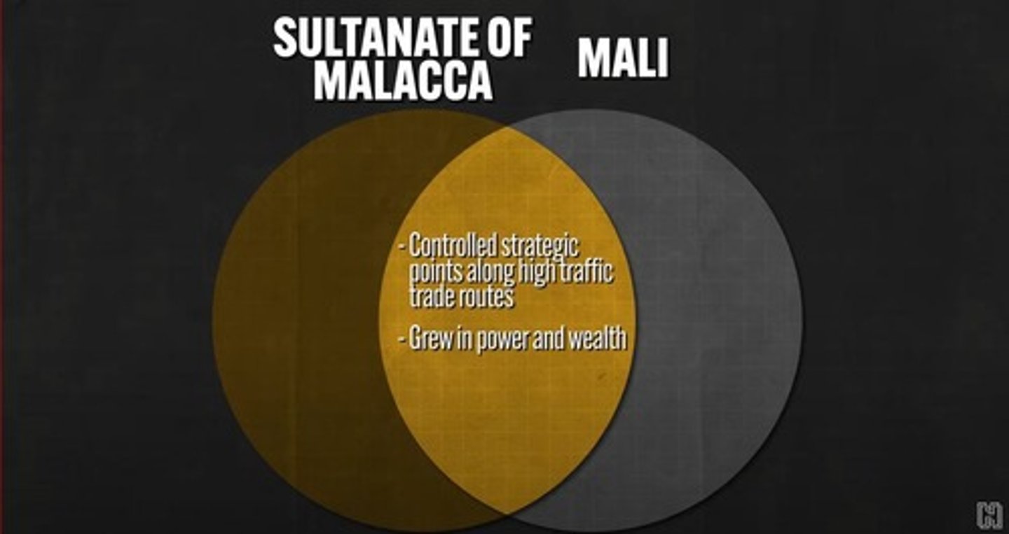 <p>A Buddhist empire influenced by Indian Hindu culture that controlled the Strait of Malacca and imposed taxes on passing ships.</p>