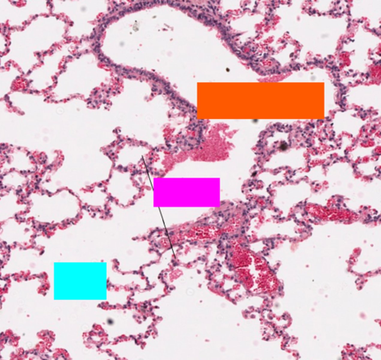 <p>ID the orange box:</p>
