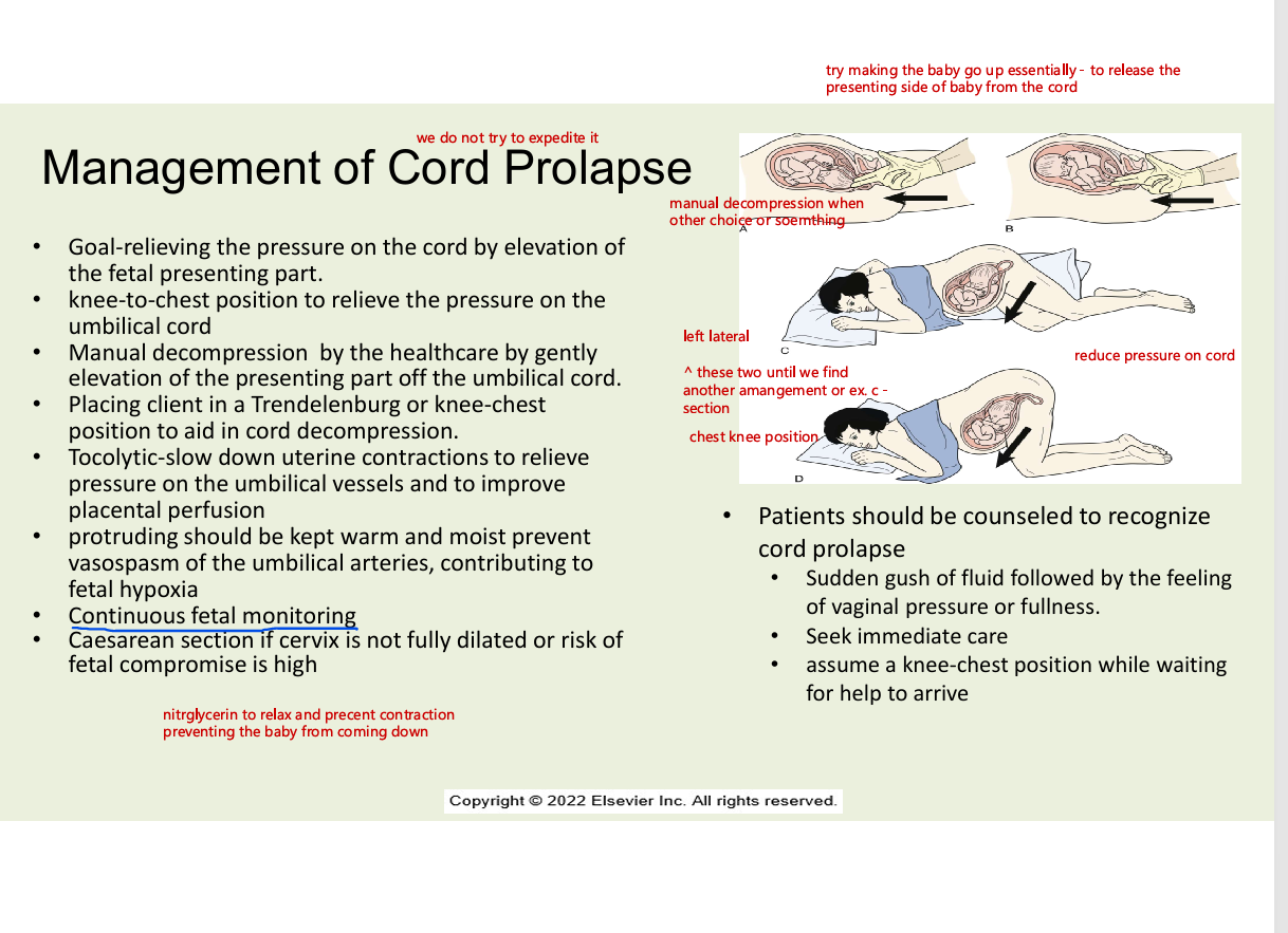 <ul><li><p>goal - relieve the pressure on the cord by elevation of the fetal presenting part</p></li><li><p>knee to chest position - relieve  the pressure on cord</p></li><li><p>manual decompression by hcp - gently elevation fo the presenting part off the umbilical cord</p></li><li><p>client in a Trendelenburg or knee chest position to aid in a cord decompression</p></li><li><p>tocolytic slow down uterine vessels and to improve placental perfusion</p></li><li><p>protruding should be kept warm and moist to prevent vasospasm of the umbilical arteries contributing to fetal hypoxia</p></li><li><p>continous fetal monitoring</p></li><li><p>c section if cervix is not fully dilated or risk of fetal compromise is high</p></li><li><p>patients should be counseled to recognize cord prolapse</p><ul><li><p>sudden gush of fluid followed by the feeling of vaginal pressure or fullness</p></li><li><p>seek immediate care</p></li><li><p>assume knee-chest position while waiting for help to arrive</p></li></ul></li></ul><p></p>