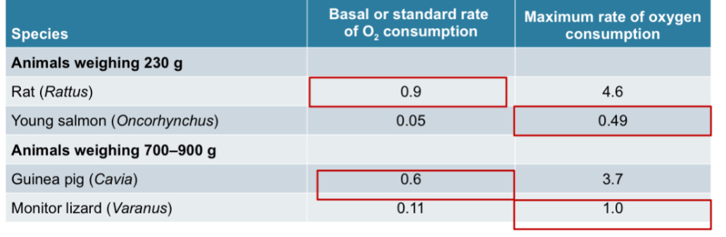<p><span>Peak rates of O2 consumption of fish, amphibians, reptiles are at same order of</span><br><span>magnitude as basal rates for mammals</span></p>