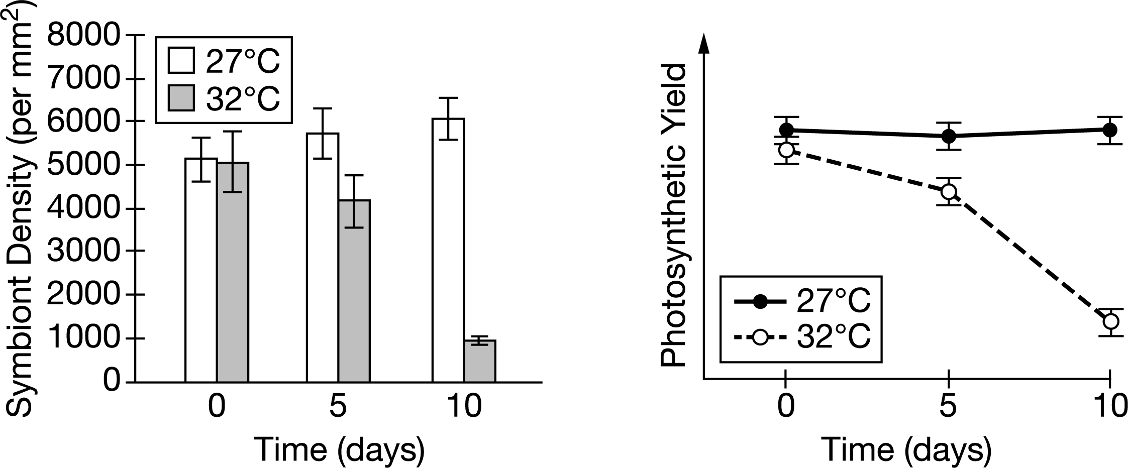 <p>(CLUSTER) Which of the following best describes the scientists’ findings concerning the density of symbionts presented in Figure 2 ?</p><p>A) The symbiont density at 32 degrees Celsius on day 5 was less than the density on day 0 of the experiment.</p><p>B) The symbiont density at 27 degrees Celsius on day 0 was less than the density on day 5 of the experiment.</p><p>C) The symbiont density at 32 degrees Celsius was different from the density at 27 degrees Celsius on days 5 and 10 of the experiment.</p><p>D) The symbiont density at 27°C was higher than the density at 32°C for the entire length of the experiment.</p>