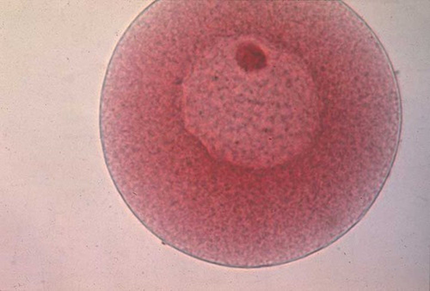 <p>what is this picture showing?</p>