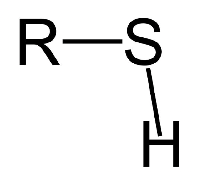 <p>Which functional group is this?</p>