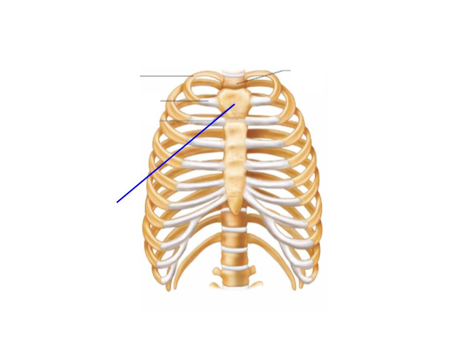<p>What is this image pointing at?</p>