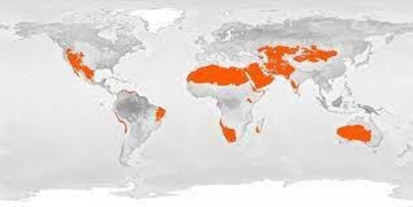 <p>Low precipitation, extreme temperature variations.</p>