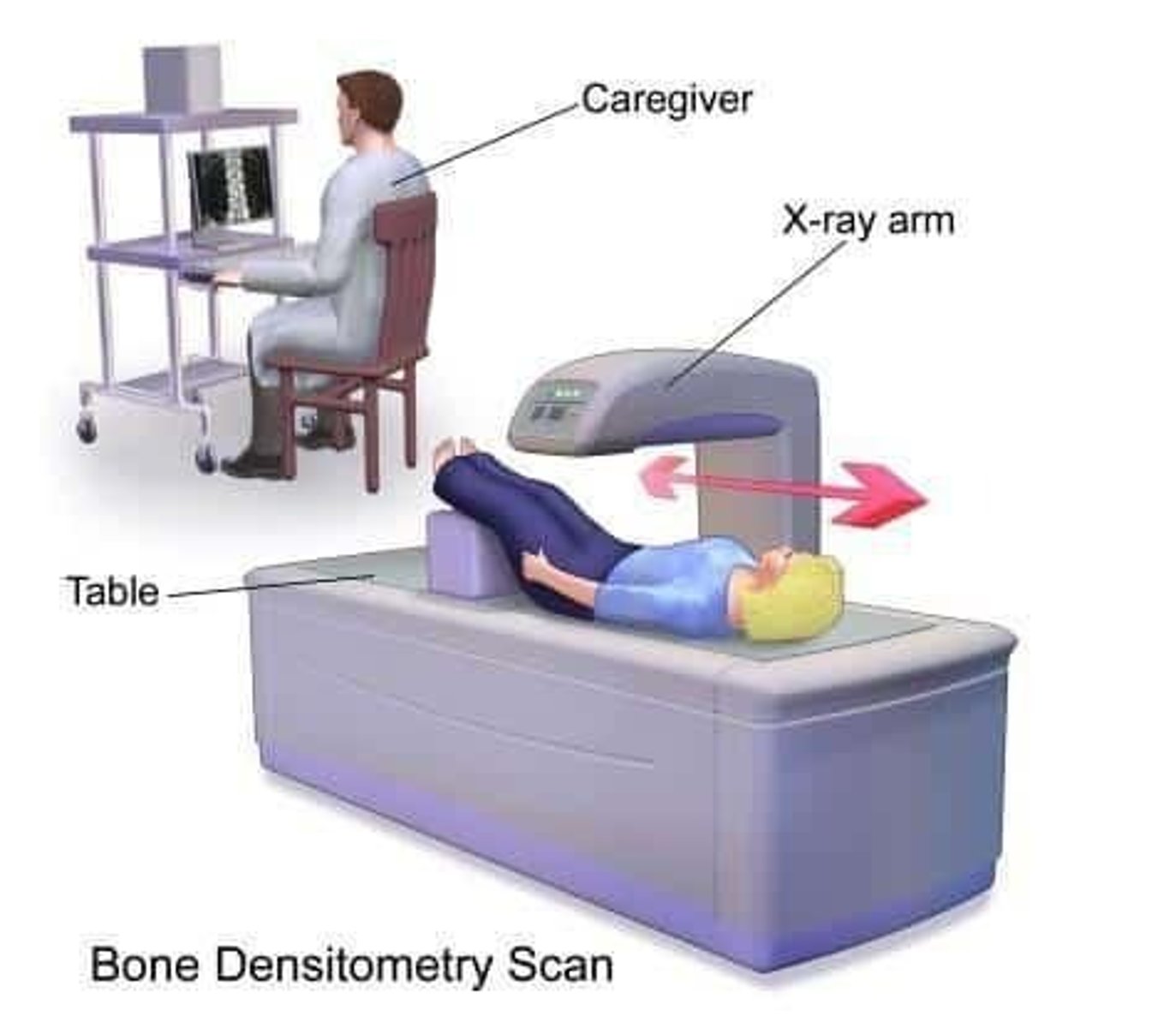 <p>Measures bone strength and detects osteoporosis.</p>