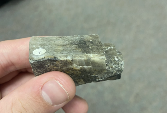 <p>Very smooth rectangular faces, <strong>concrete</strong></p>