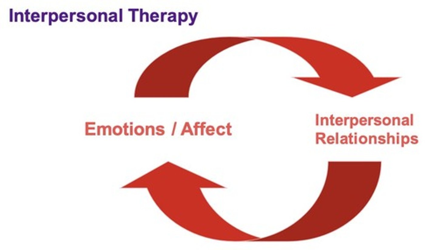 <p>How interpersonal relationships affect emotions and mood.</p>