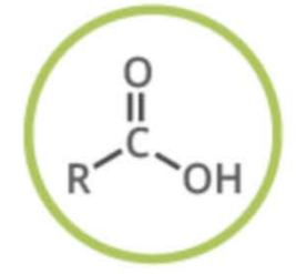 <p>Name the functional group</p>