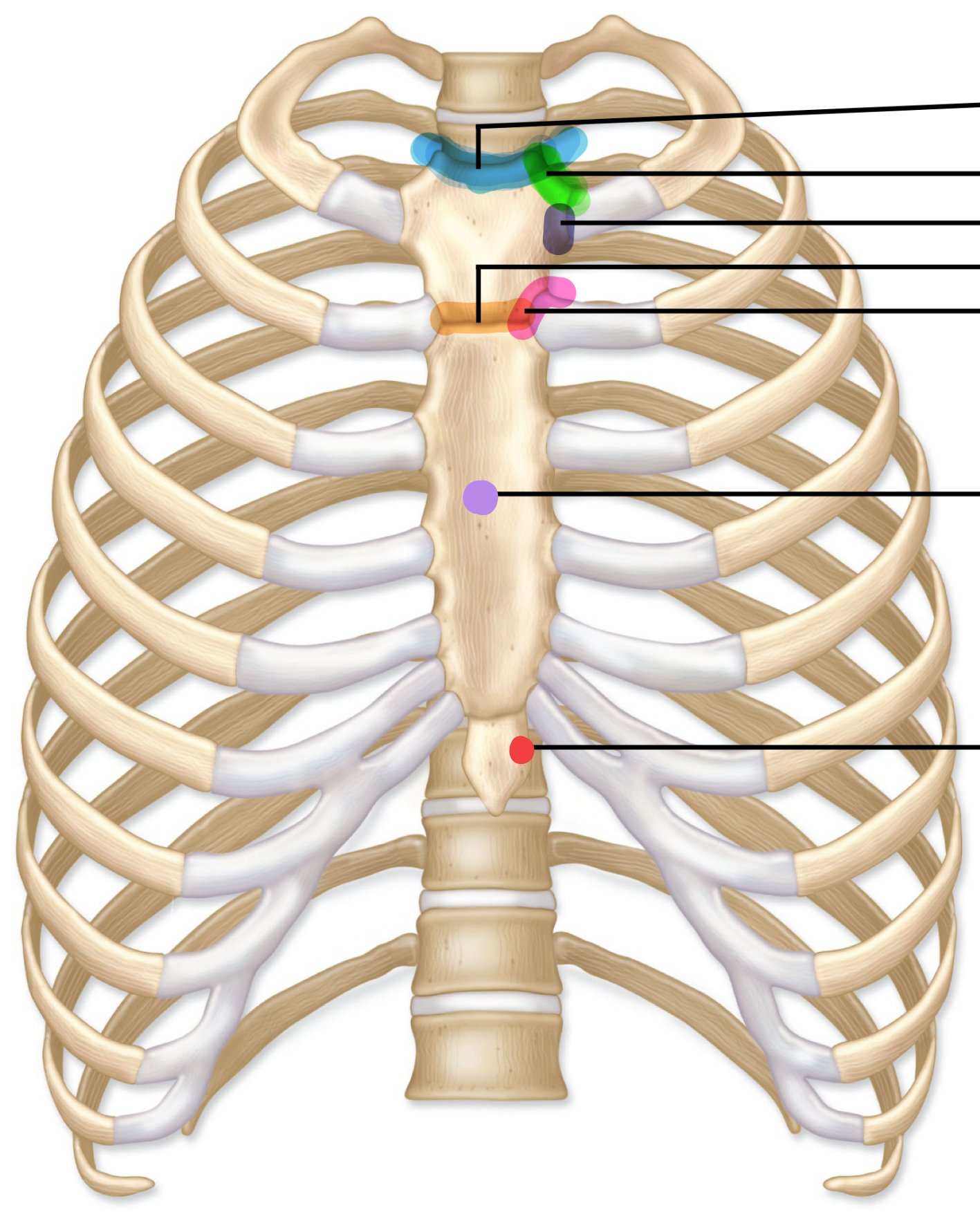 <p>What is the purple line?</p>