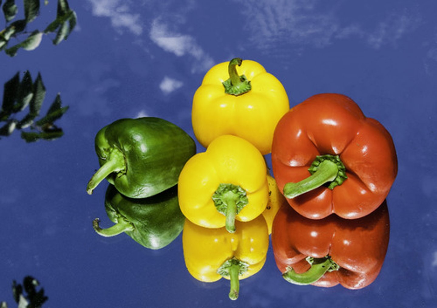 <p>the (green, red) pepper</p>
