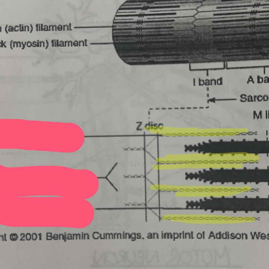 <p></p>