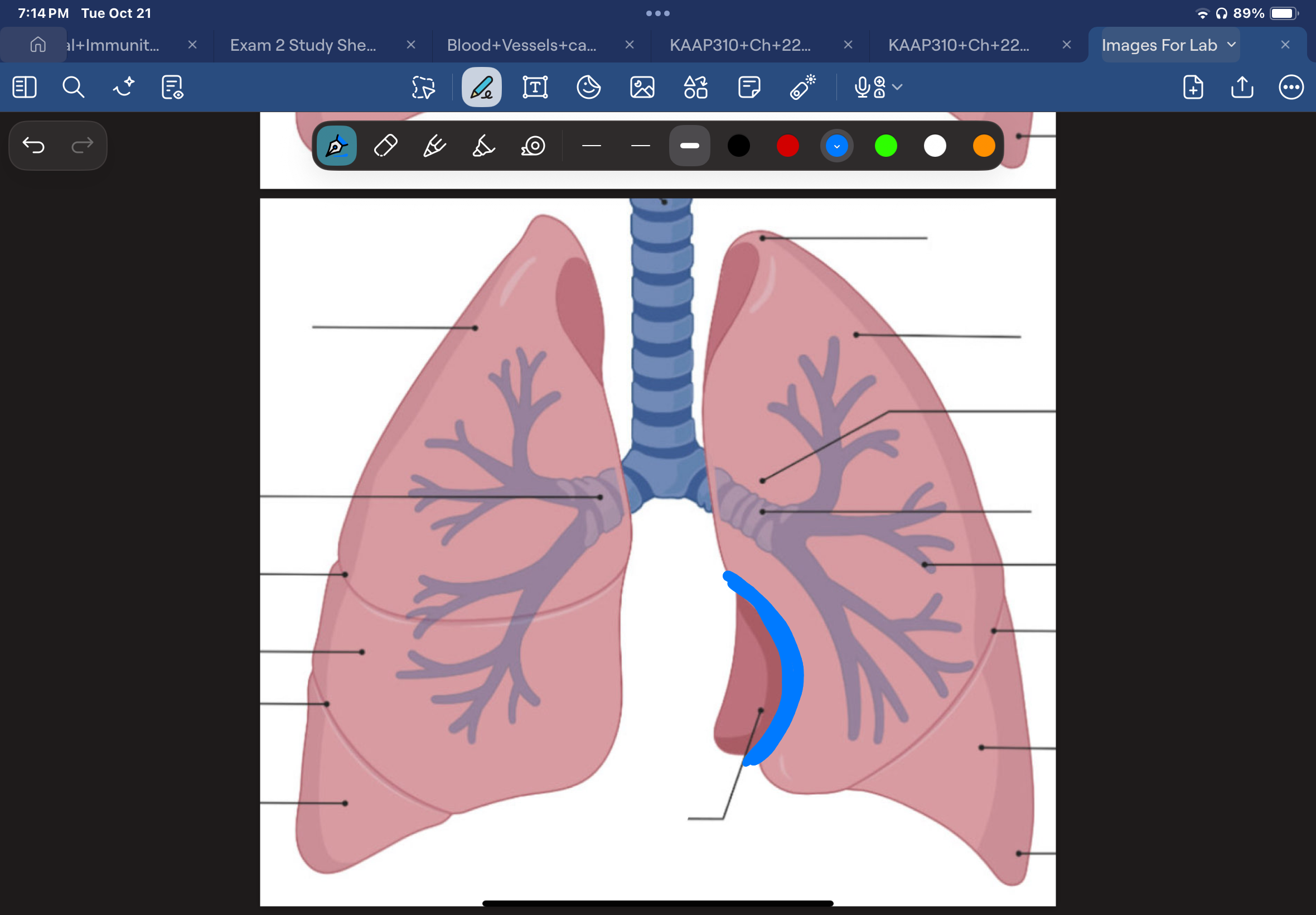 knowt flashcard image