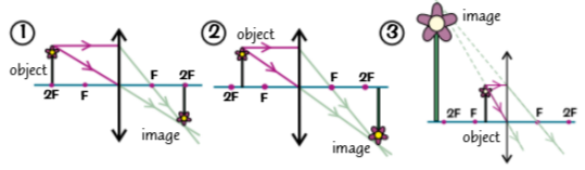 <ol><li><p>An object at 2F will produce a real, inverted image the same size as the object, and at 2F.</p></li><li><p>Between F and 2F it'll make a real, inverted image bigger than the object, and beyond 2F.</p></li><li><p>An object hearer than F will make a virtual image the right way up, bigger than the object, on the same side of the lens.</p></li></ol><p></p>