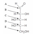 <p>which arrow correctly identifies the atom that will become the anomeric carbon? (ch7)</p>