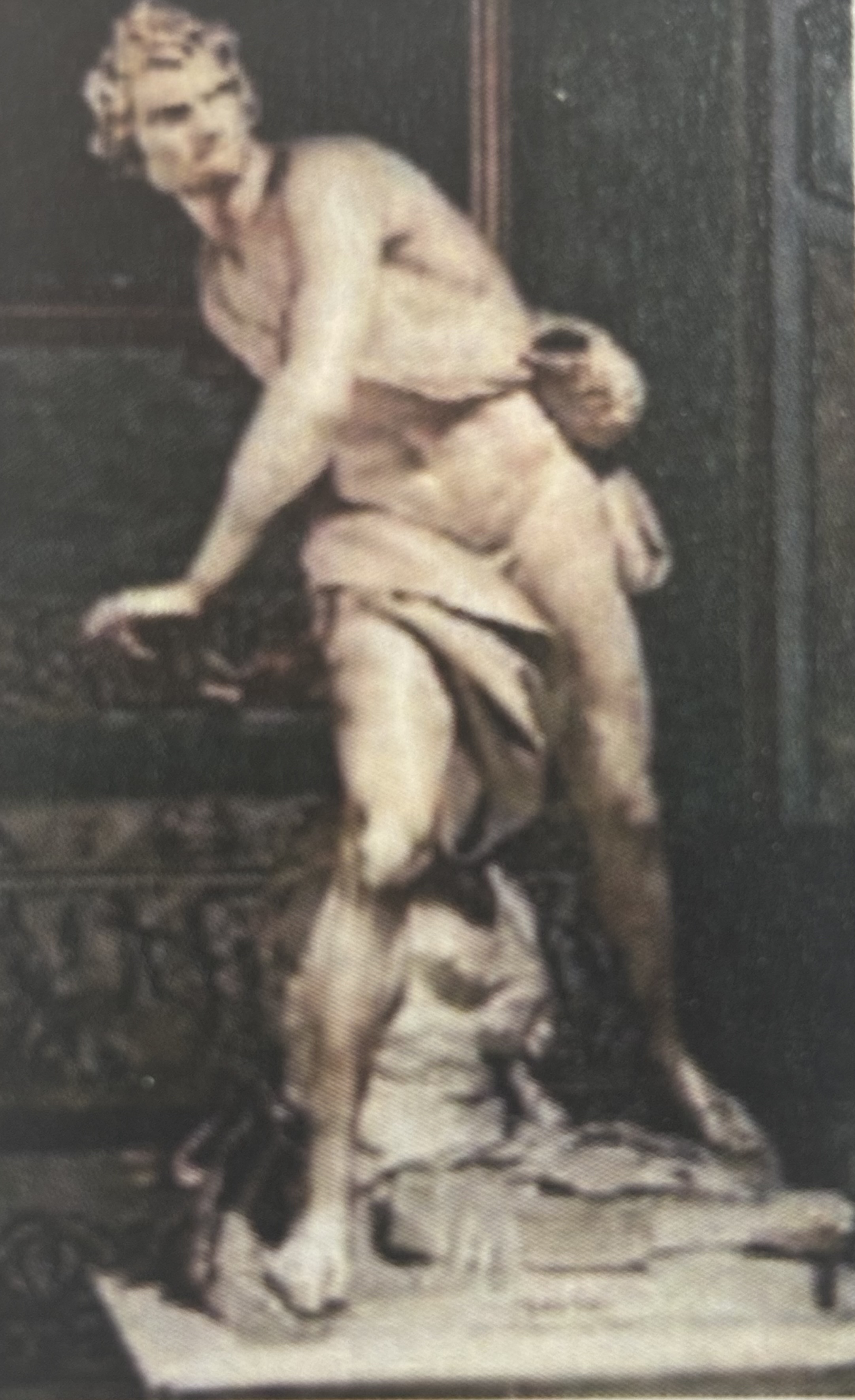 term image