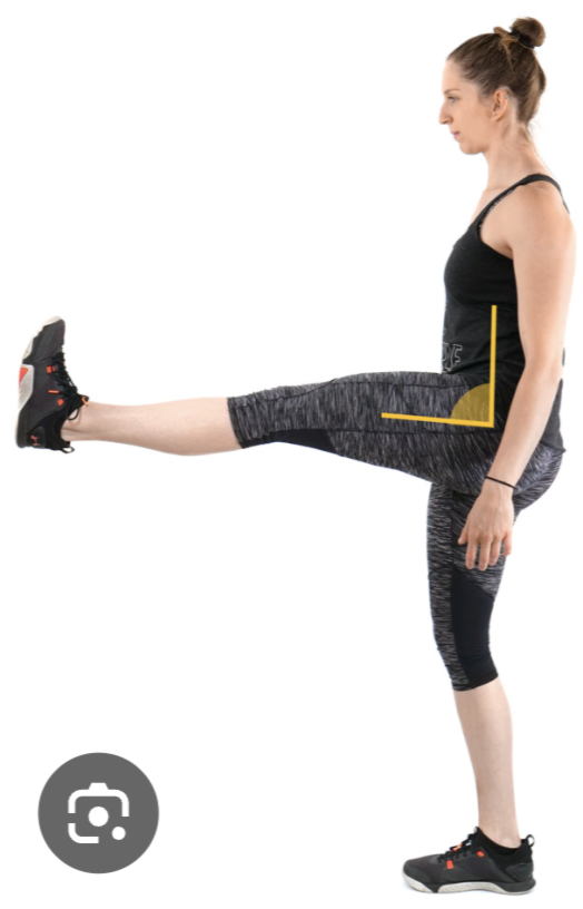 <p>What type of joint movement is this?</p>